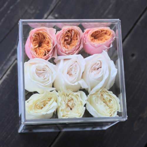 Бокс "Кортни Дэй"