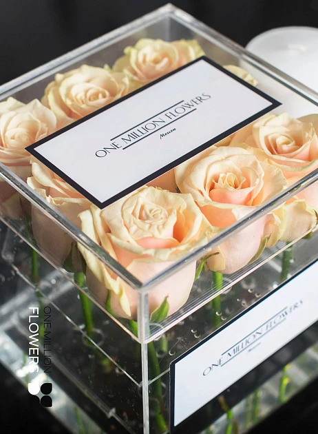 Бокс из 9 "Талеа"