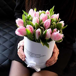 Коробка тюльпанов "Династия Лайт"